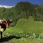 Gaestehaus Posch Pensjonat *