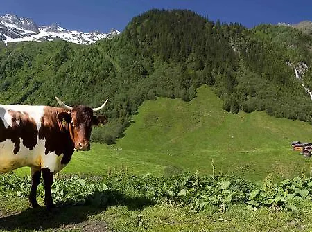 Gastehaus Posch Pensionat *